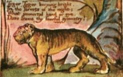 Тигр, тигр (Уильям Блейк)